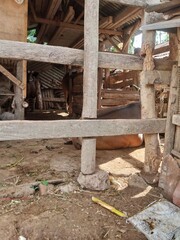 photo of a cowshed in the countryside or village