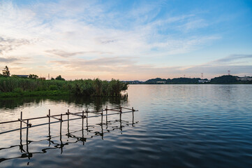 千葉　早朝の手賀沼（手賀沼公園）