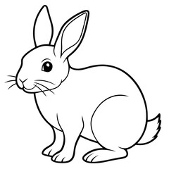 illustration of a rabbit