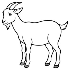 Obraz premium goat isolated on white