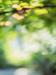 Softly Blurred Green Leaves in Natural Light