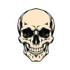 Classic Skull Illustration