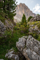 hiking in the high mountains