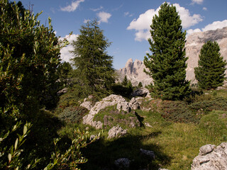 hiking in the high mountains
