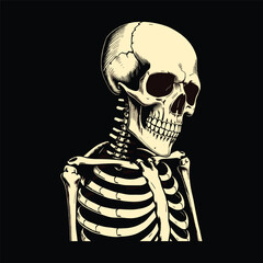 Anatomical Skeleton Illustration on Black Background