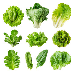 PNG Fresh leafy greens on white backdrop