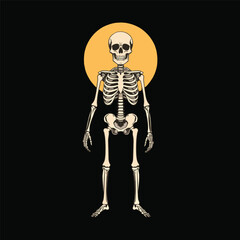 Full-Body Skeleton with Yellow Circle Background