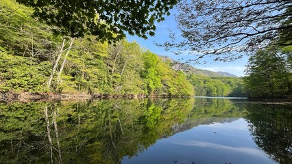 十二湖 鶏頭場の池