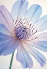 Fototapeta premium Abstract image of a flower in soft pastel colors, flowing, translucent petals with a blend of light pink, blue, and lavender hues, white background, centered composition