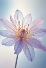 Fototapeta premium Abstract image of a flower in soft pastel colors, flowing, translucent petals with a blend of light pink, blue, and lavender hues, white background, centered composition