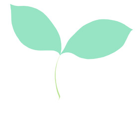 若葉のイラスト