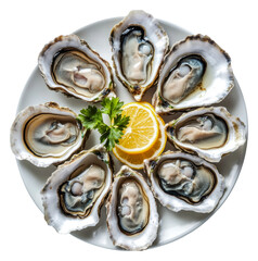 PNG Oysters with lemon slices on a plate
