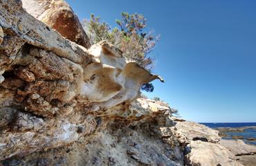 Korsika - Golf von Porto-Vecchio - Naturreservat La Chiappa