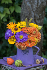 bunter Blumenstrauß mit Sommerastern, Dahlien und Zinnien im Krug im Garten