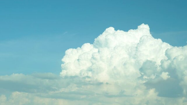 夏の空に発達する積乱雲とその上を飛ぶ飛行機 / 1.5倍速 / 24fps