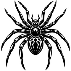 Spider isolated art vector illustration