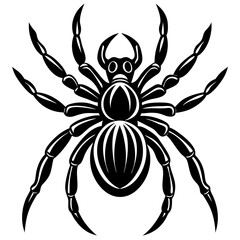 Spider isolated art vector illustration