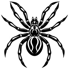 Spider isolated art vector illustration