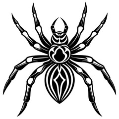 Obraz premium Spider isolated art vector illustration