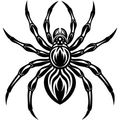 Spider isolated art vector illustration