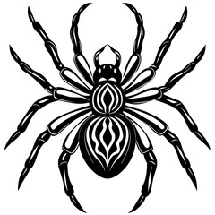 Spider isolated art vector illustration