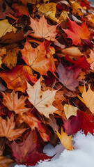 Fototapeta premium Beautifull Pile of autumn colored leaves isolated on white background