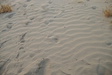 the texture of the sand. sand in the evening. sand close-up