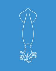 Squid outline. Isolated squid on white background