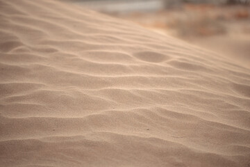the texture of the sand. sand in the evening. sand close-up