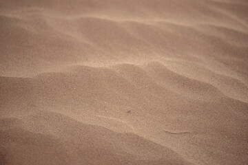the texture of the sand. sand in the evening. sand close-up