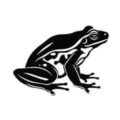 black silhouette of a frog isolated on white background