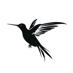 Obraz premium black silhouette of a hummingbird isolated on white background
