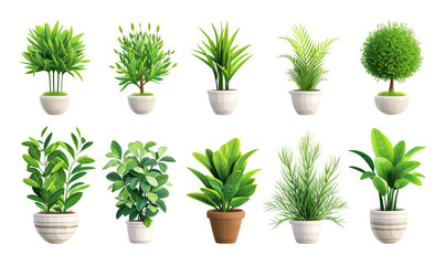 Plant shoot, potted houseplant, tree, grass, 3d cartoon icon set white background