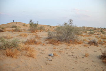 sandy landscape with small sandy vegetation . There are two children standing on the dune. people are not recognizable. evening time