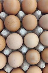 Chicken Eggs ingredients for cook healthy eating  | Natural photos of egg 