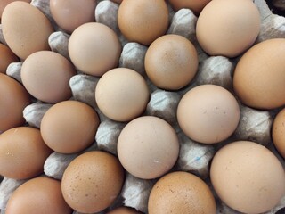 Chicken Eggs ingredients for cook healthy eating  | Natural photos of egg 