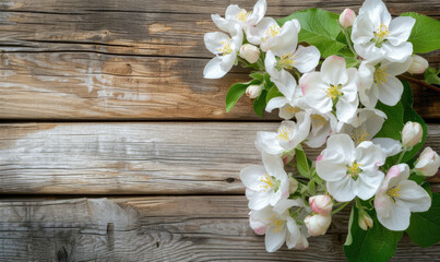Spring apple blossoms flowering branch on wooden background,Copy space