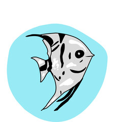 illustration of a fish