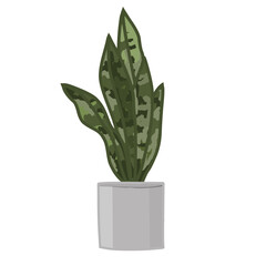 Plant in a Gray Pot