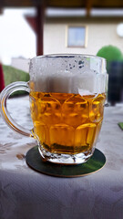 glass of beer