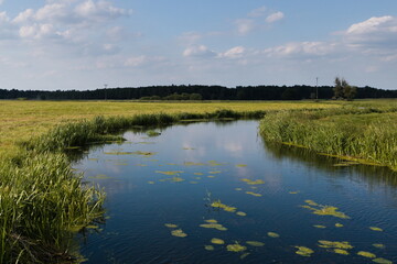 landscape with river