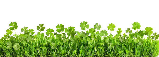 Clover Field for St. Patrick's Day, vibrant green clovers with intricate leaf patterns, isolated against a clean white background, perfect for festive designs and celebrations