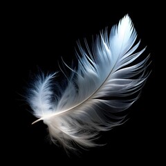 Naklejka premium ethereal white feather floating isolated on pure