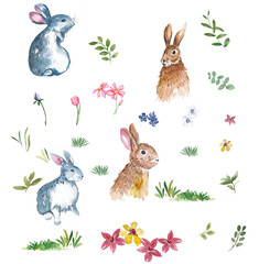 watercolor bunny floral and leaf elements for design
