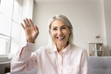 Web cam view pretty mature woman make video call at home, looks at camera start virtual meeting with family, provide on-line counselling remotely using videocall. Social media icon, influencing, apps