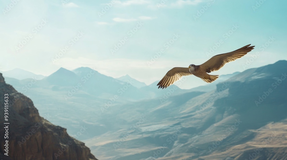 Poster detailed view of a bird gliding close to a mountain range, with clear focus on the bird and rugged l