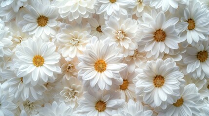 Obraz premium Many beautiful flowers background illustration.