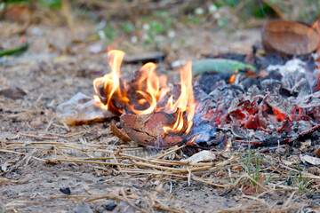 Flames of the Garbage Pile.