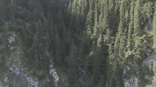 Horse's Fall (Cascada Cailor), Rodnei Mountains, Borsa, Maramures, Romania