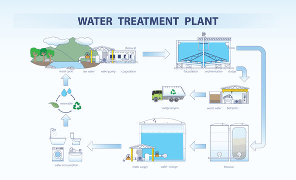 water plant 2
